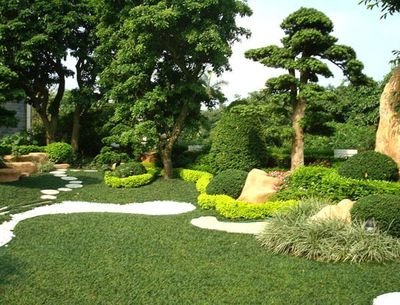 為什么要進行園林綠化養護