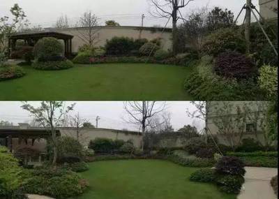 園林綠化及園林綠化施工全解 從設計到實施