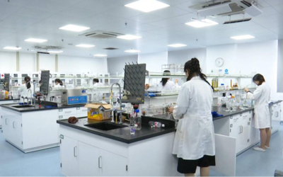 江蘇海門(mén) 以創(chuàng)新驅(qū)動(dòng)促融合發(fā)展，全力駛?cè)腴L(zhǎng)三角一體化“快車道”